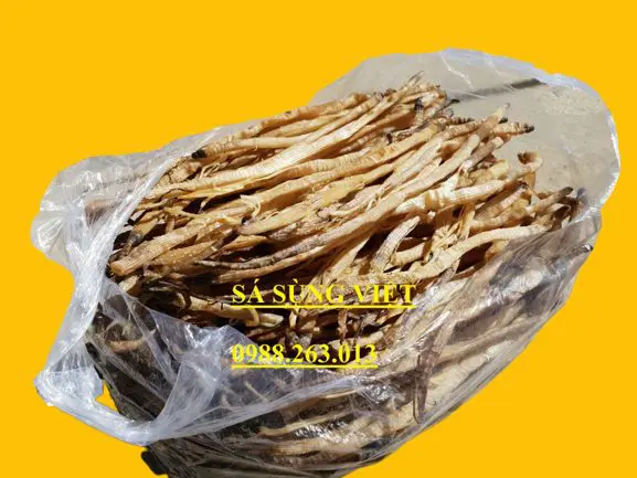 sá sùng khô - sá sùng việt việt việt- 0988263013 - sá sùng mua ở đâu đâu- sá sùng bao nhiêu nhiêu nhiêu 1kg - sá sùng khô nấu nước lèo - sá sùng khô nấu phở
