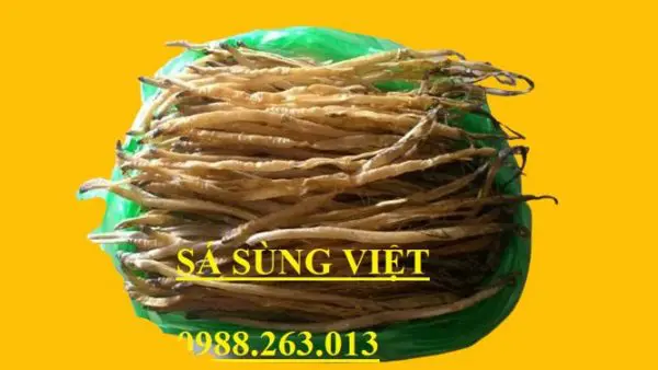 sá sùng khô - sá sùng việt việt việt- 0988263013 - sá sùng mua ở đâu đâu- sá sùng bao nhiêu nhiêu nhiêu 1kg - sá sùng khô nấu nước lèo - sá sùng khô nấu phở