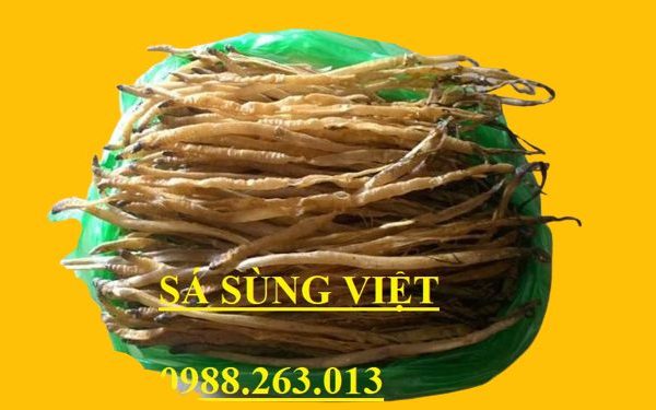 sá sùng khô - sá sùng việt việt việt- 0988263013 - sá sùng mua ở đâu đâu- sá sùng bao nhiêu nhiêu nhiêu 1kg - sá sùng khô nấu nước lèo - sá sùng khô nấu phở
