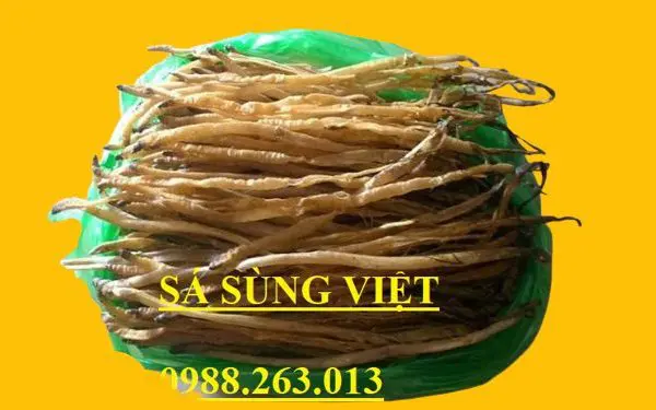 sá sùng khô - sá sùng việt việt việt- 0988263013 - sá sùng mua ở đâu đâu- sá sùng bao nhiêu nhiêu nhiêu 1kg - sá sùng khô nấu nước lèo - sá sùng khô nấu phở